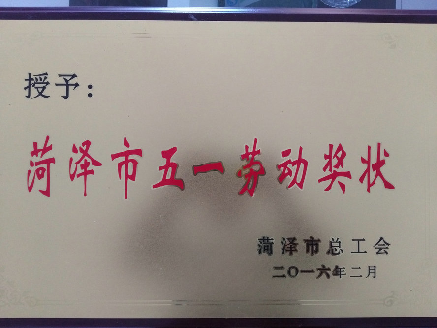 荣誉资质5